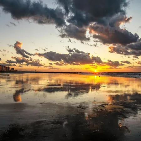 By The Sea Dike *